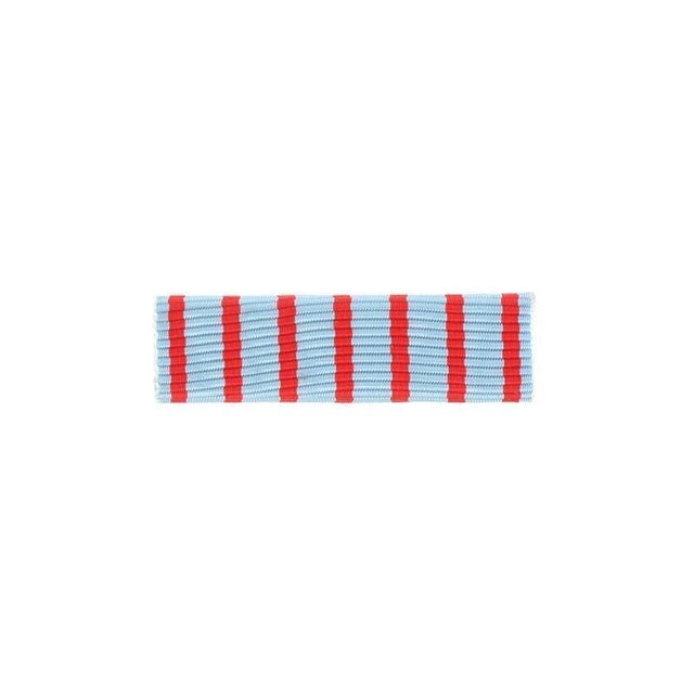 Barrette dixmude Combattant