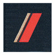 Grade de poitrine Ares Troupe de Marine