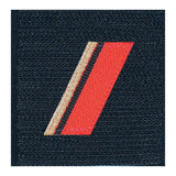 Grade de poitrine Ares Troupe de Marine
