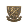 Insigne de béret Bronze Commando Marine