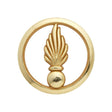 Insigne de béret OR CADRE SPÉCIAL