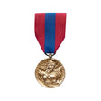 Médaille Défense Nationale Bronze