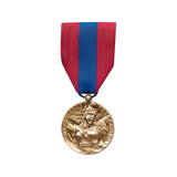 Médaille Défense Nationale Bronze