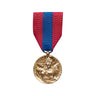 Médaille Défense Nationale Bronze