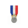 Médaille Sauvetage 1er